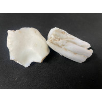 Opalite Raw